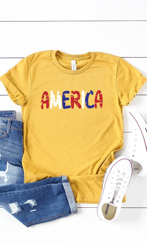 America Red White Blue Plus Size Graphic Tee