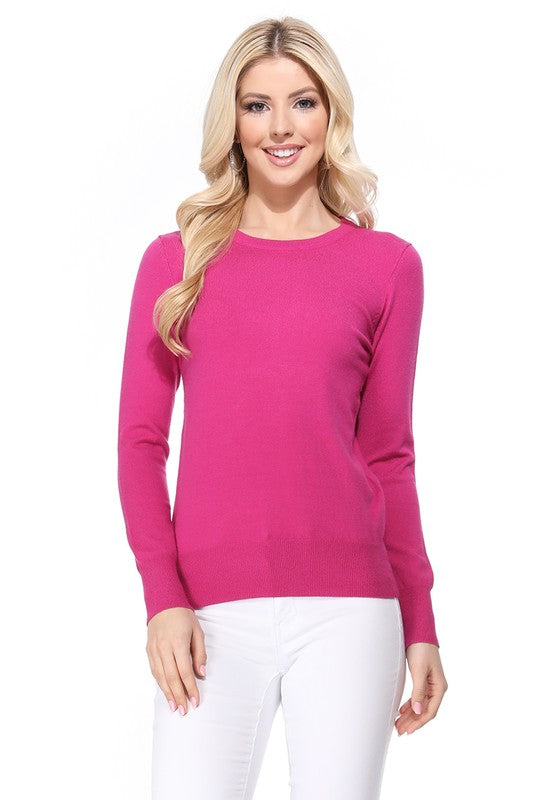 Crew Neck Long Sleeve Light Basic Casual Knit Top